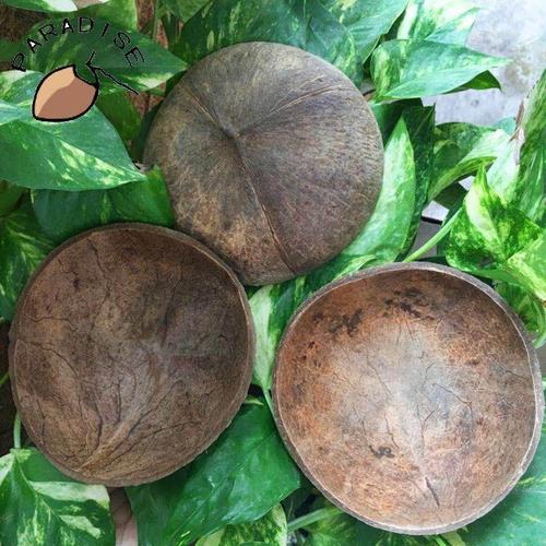 diy椰壳盖子天然椰子壳盖垫子椰壳碟子椰壳片装饰品等