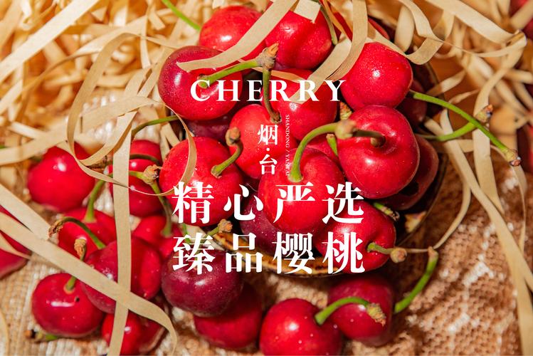 烟台大樱桃摄影海报