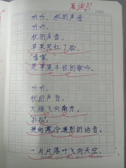 三年级小练笔