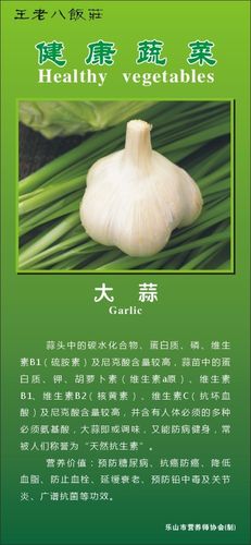 酒店菜谱介绍系列h 大蒜图片