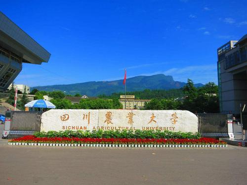 四川农业大学雅安校区 四川农业大学成人教育招生简章 四川农业大学