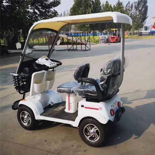 小巴巴士电动车休闲电瓶车成人四轮车带棚可电梯电动四轮车