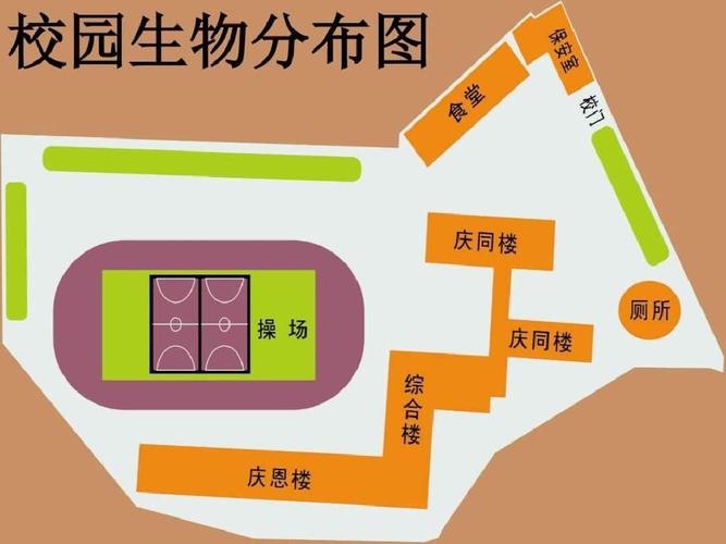 2.校园生物分布图.ppt