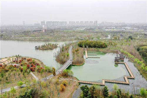 市民又将新添一好去处!常州新龙生态林2200亩核心区即将开放