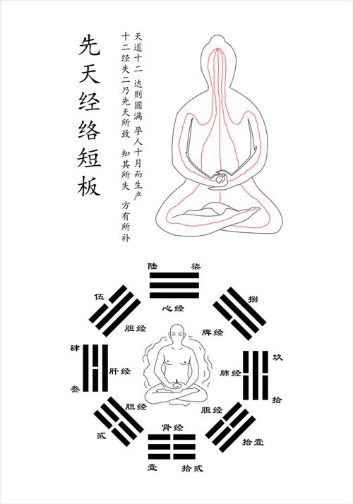 先天经络之短板周易经风水八卦图国学太极图中医养生
