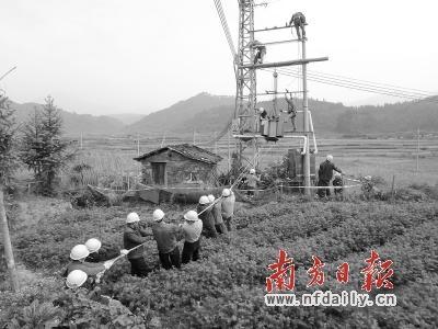 11月19日,清远供电局连山局永和所改造大岭台区.房荣华 摄