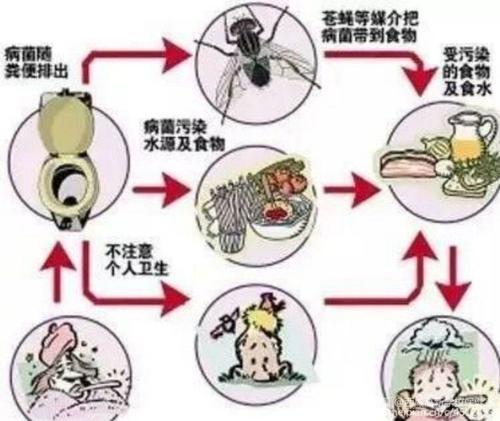 预防细菌性痢疾 守护肠道健康 - 美篇 - 美篇