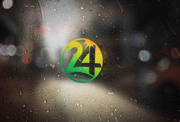 纯数字"24"logo设计