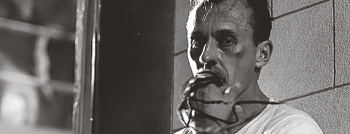 越狱第五季强势回归 米帅复活越"越"越勇