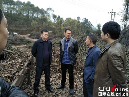 李元虎检查指导宜宾古柏镇脱贫攻坚工作