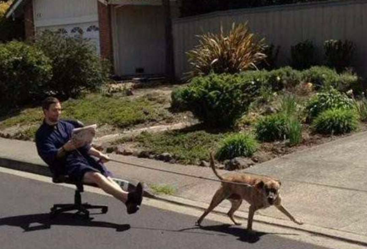 世界上最奇葩的懒人,最后一张好内涵,秒看懂的智商不