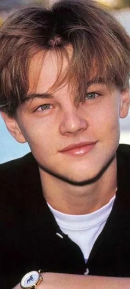 壁纸:莱昂纳多 帅气小李子