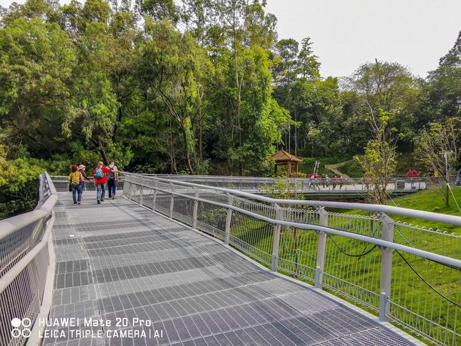 广州白云绿道开通