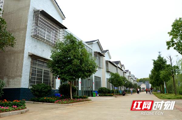 津市戚关村居民集中建房点,居住环境干净整洁.