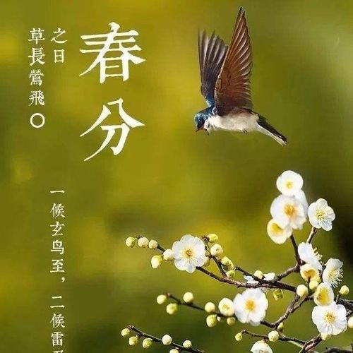 二候,雷乃发声;天际间时时传来春雷的声音,雨水增多.
