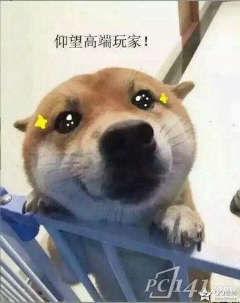 仰望高端玩家表情包