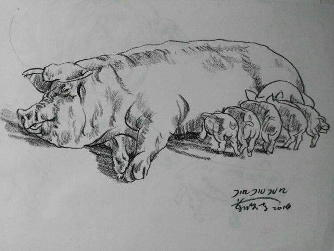 我好友办了个养猪场,几百头,母猪都有十几头,猪很难画,小猪就更难画