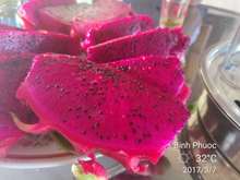 一件代发越南进口红心火龙果大果 5斤装中果红心火龙果