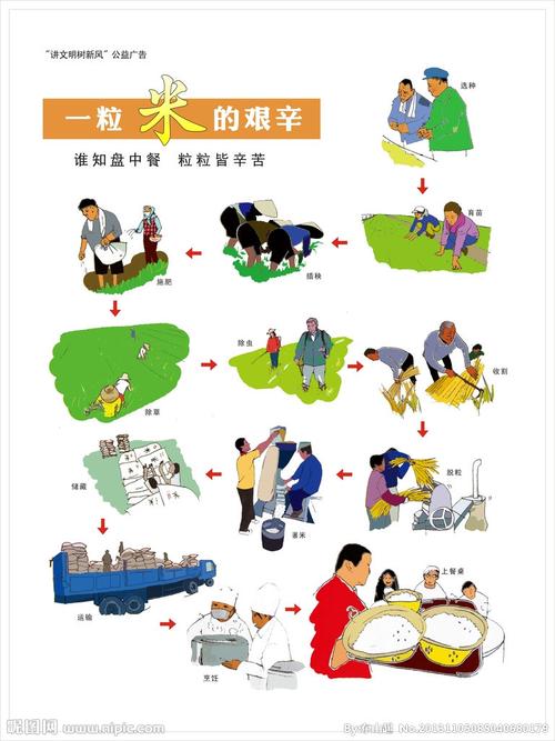 一粒米的艰辛图片