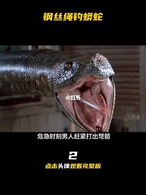 千年巨蟒,疯狂袭击人类"_电影解说_电影推荐_恐怖电影