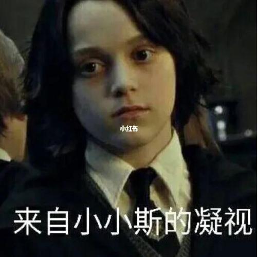 哈利波特表情包_表情包_哈利波特_素材_表情包