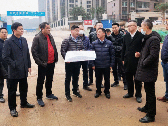 永州市副市长刘卫华一行莅临岳麓青城·万达广场开展