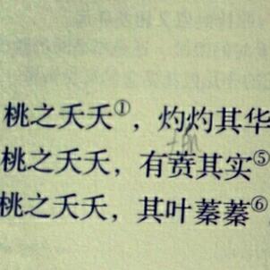 桃夭