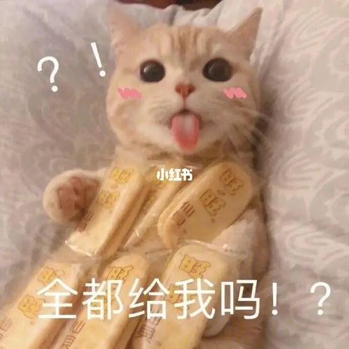 要生活费专用表情包～_表情包_熬夜_要钱_素材_表情包