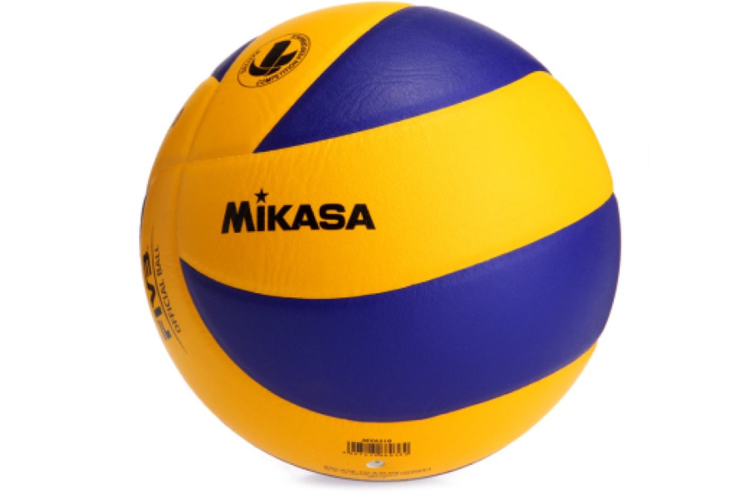 排球是什么样子的图片