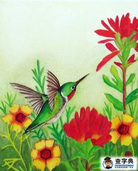 儿童画 水彩画 花丛中的蜂鸟关于小鸟的绘画图片展示          头脑