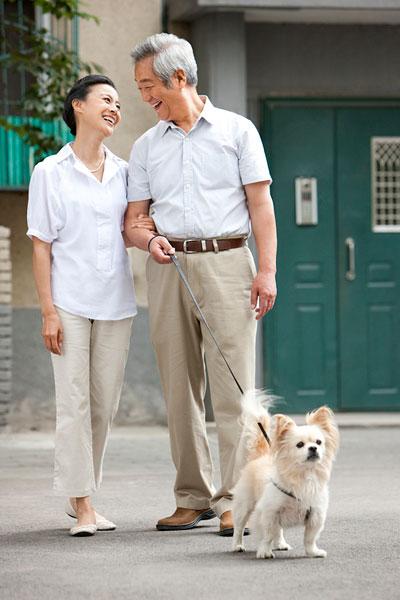 老年夫妇在普通社区门口遛狗