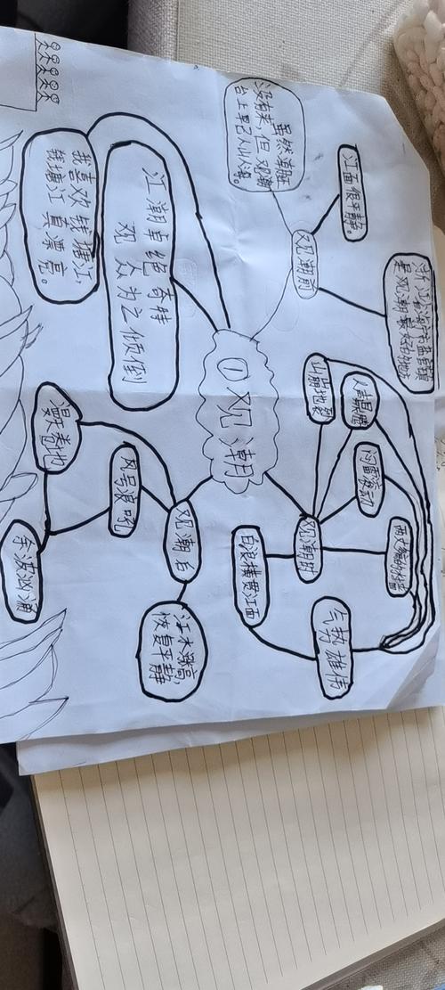 毛毛哥哥的思维导图