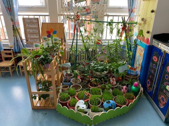 "青青小角落 绽放大自然"——临河四小汇丰幼儿园开展自然植物角观摩