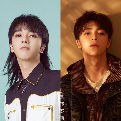 陈立农不就是低配的整容后华晨宇吗?