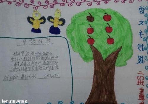 二年级手抄报二年级语文手抄报图片简单漂亮