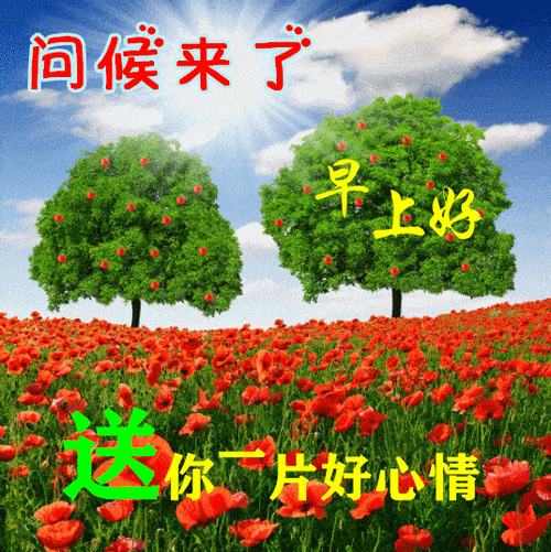 9月1日最漂亮早上好动态表情图片大全,早上好动图美图