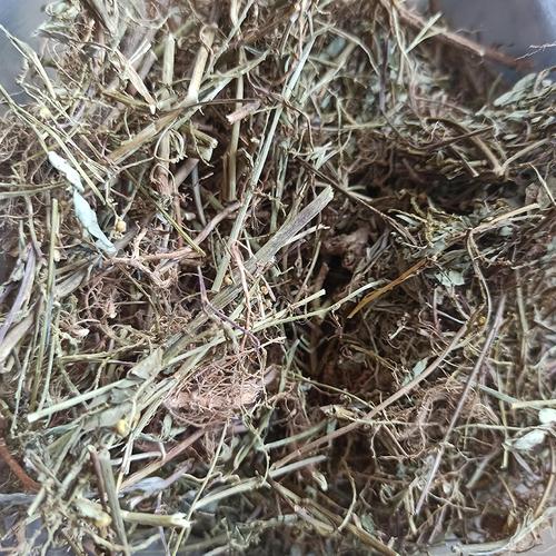 叶下珠野生草药珠仔中药材潮汕假油干品500克另售其他