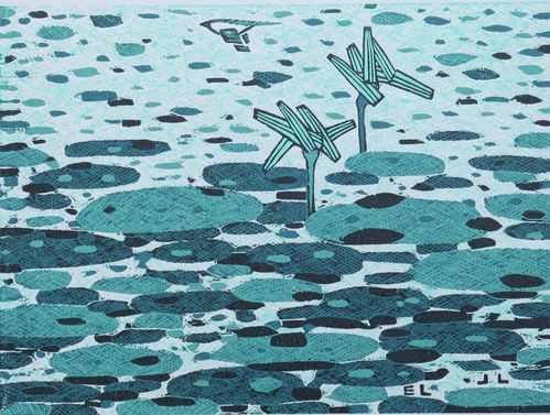 《荷花系列之八》 绝版套色木刻             