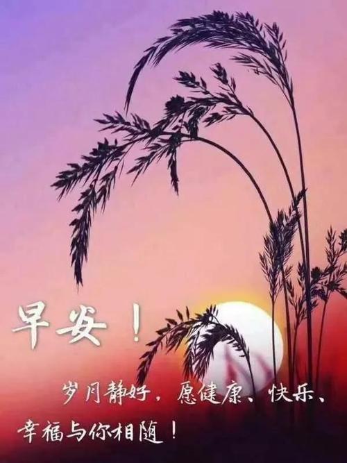 最新最火的2021年早安祝福语大全 非常漂亮的早安祝福