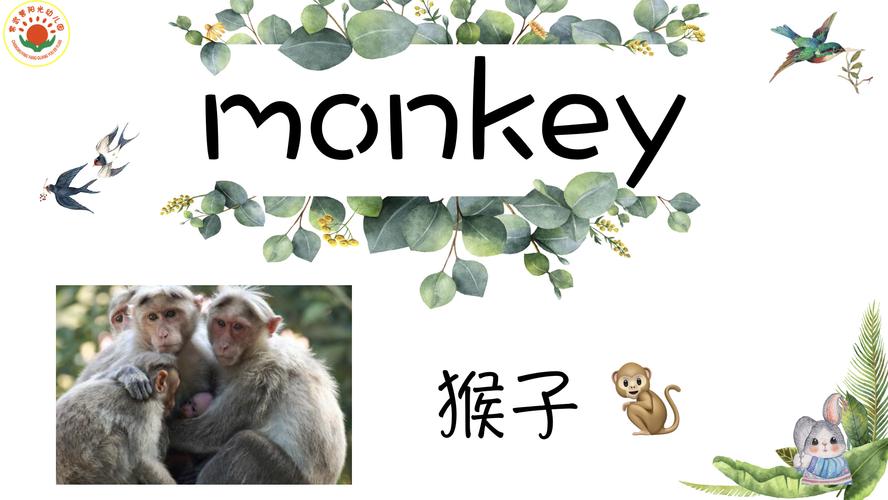 的单词和句子,hippo 河马,giraffe 长颈鹿,zebra 斑马,monkey 猴子