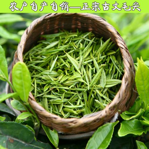 绿茶 古丈毛尖茶湖南湘西特产绿茶明前特级春茶2018茶叶100g包邮