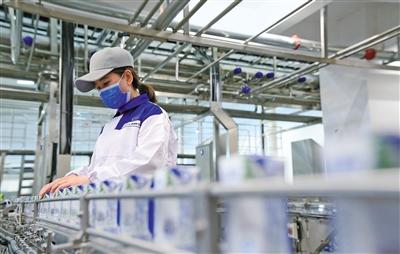 我市奶产业向高质量发展提速奔跑