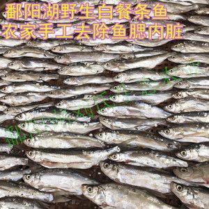 餐饮生鲜 水产海鲜 鱼类 野生鱼鄱阳湖 59.