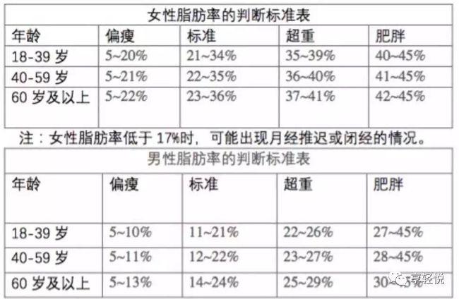 减肥中易被忽视的体脂和内脏脂肪