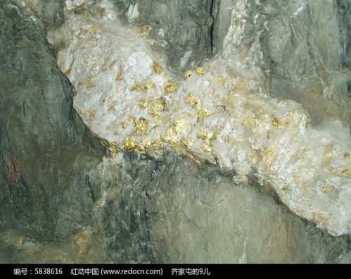 镶嵌在石头里的金子