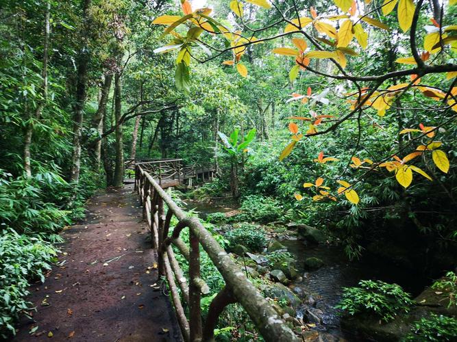 海南吊罗山国家森林公园位于海南岛东南部的陵水,琼中