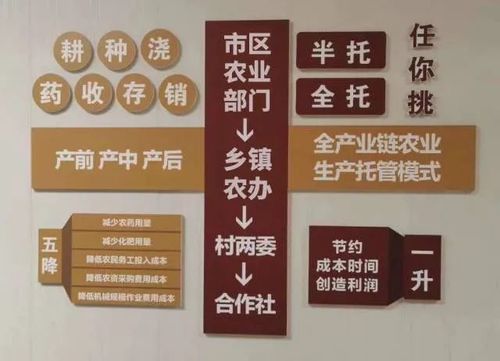 秒杀众多行业!广东一农业合作社年收入增长3483%,农民赚2份钱