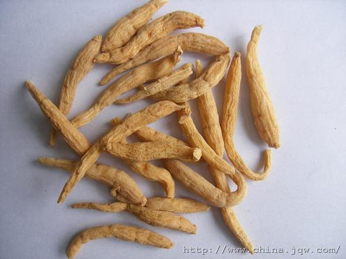 太子参