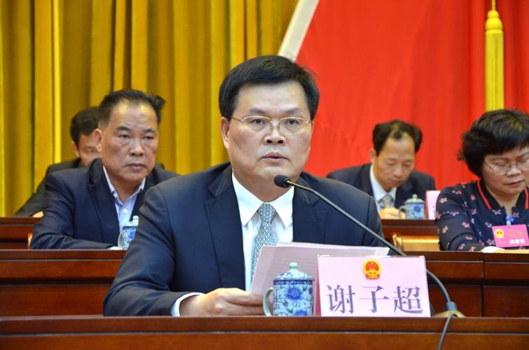 谢子超区长致闭幕词