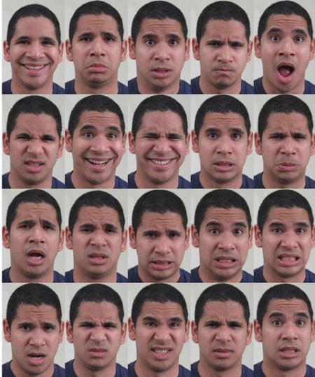 双语人类表情超丰富共有21种表情图